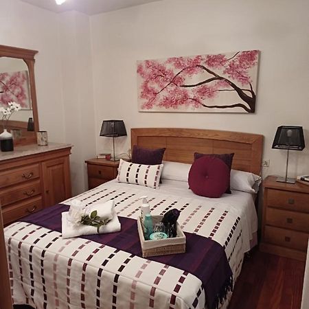 Apartamento Penedo, Camino Portugus-Con Plaza De Garaje Gratis Сантяго де Компостела Екстериор снимка